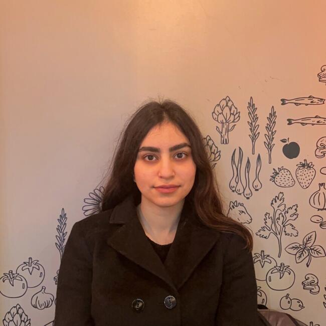 Babysitter in Illkirch-Graffenstaden: Narges