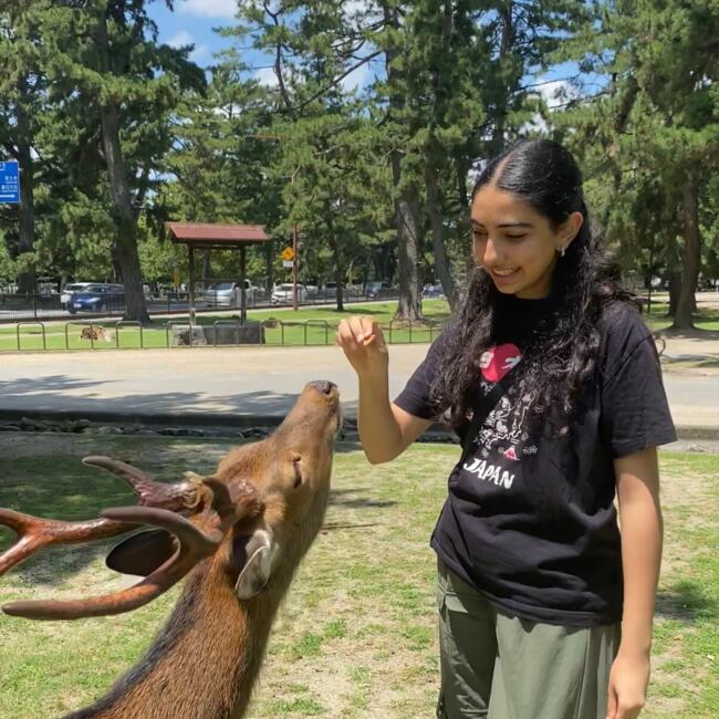 Babysitter in Eaubonne: Inès
