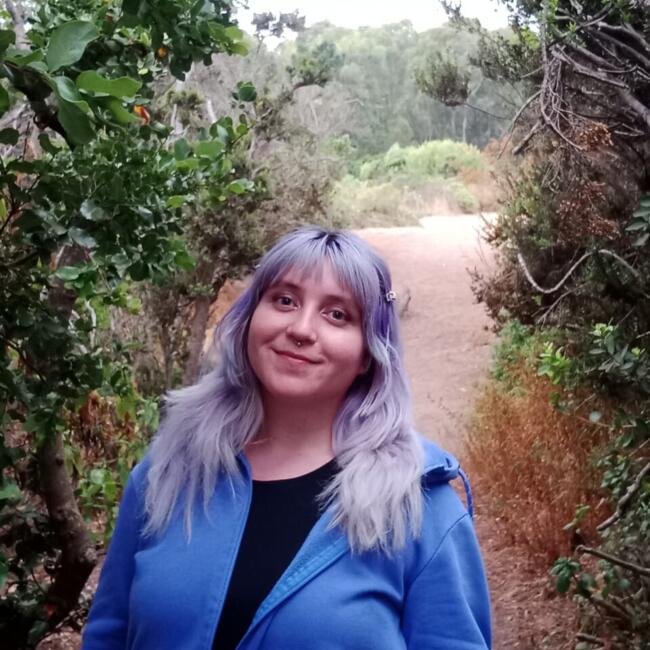 Babysitter in Quilpué: Anahi