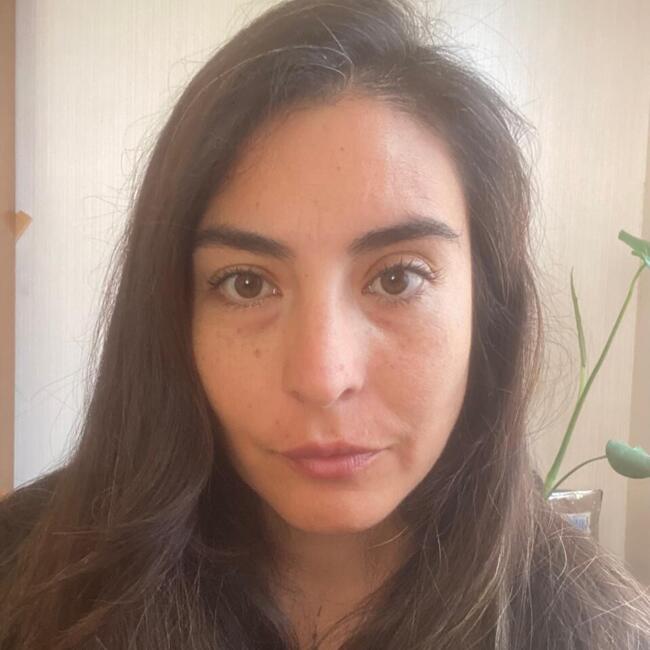 Babysitter in Coquimbo: Pamela