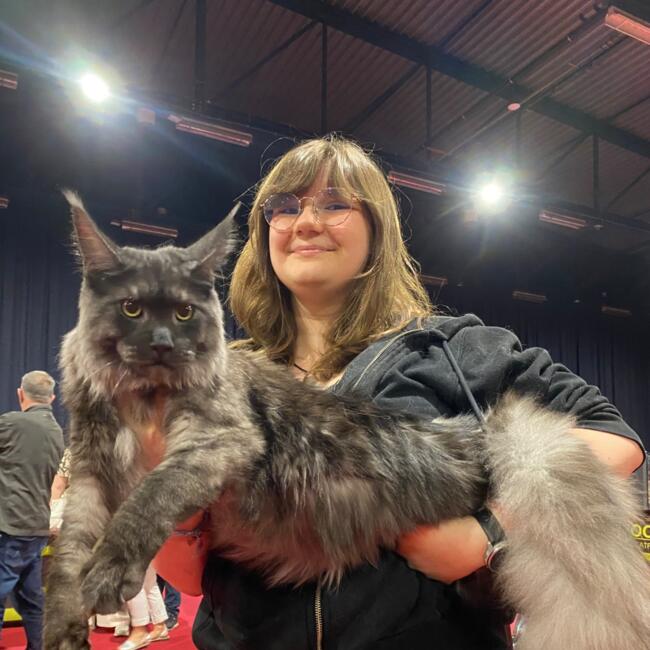 Babysitter in Kraainem: Julie