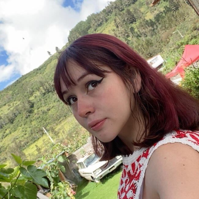 Niñera en Quito: Vale