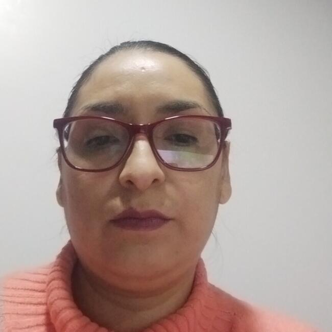 Trabajo para niñera en Pucón: ANA
