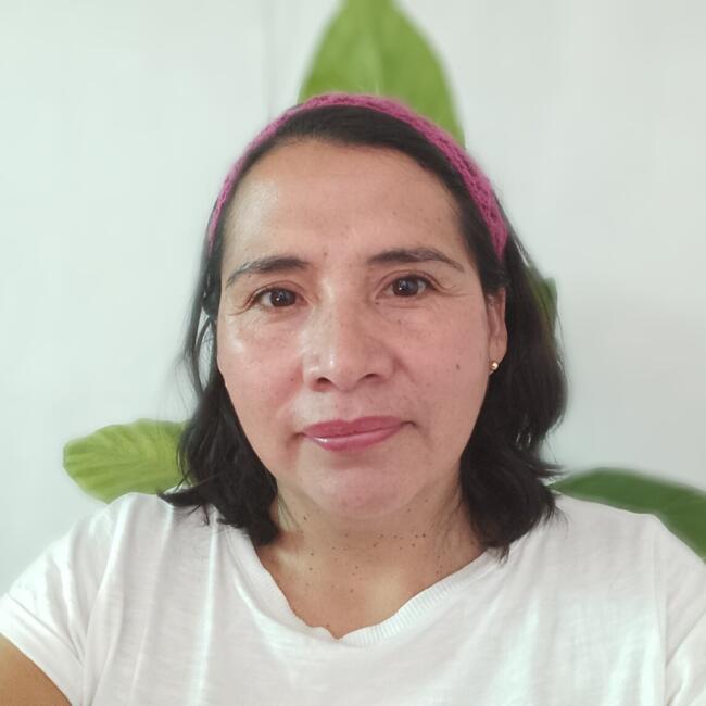 Babysitter in Santiago: Mónica