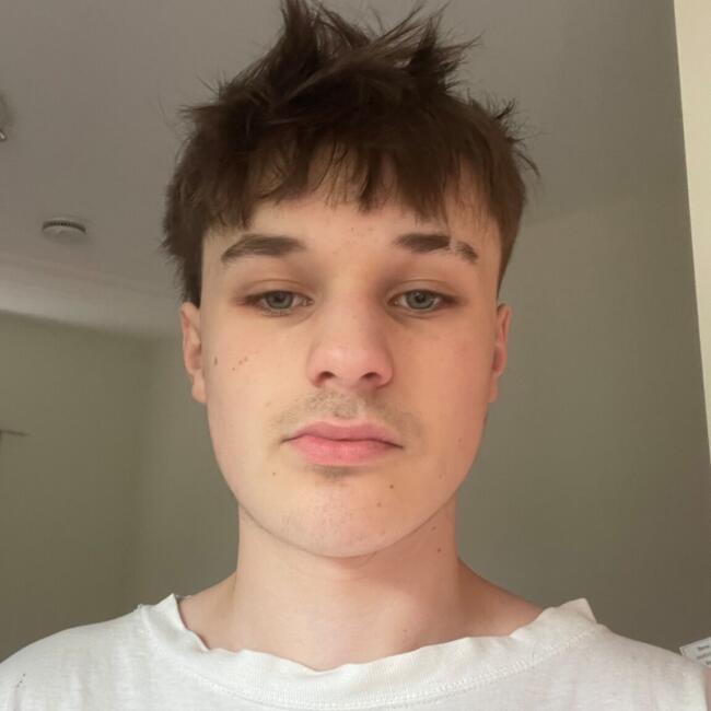 Babysitter in Dunedin: Reg