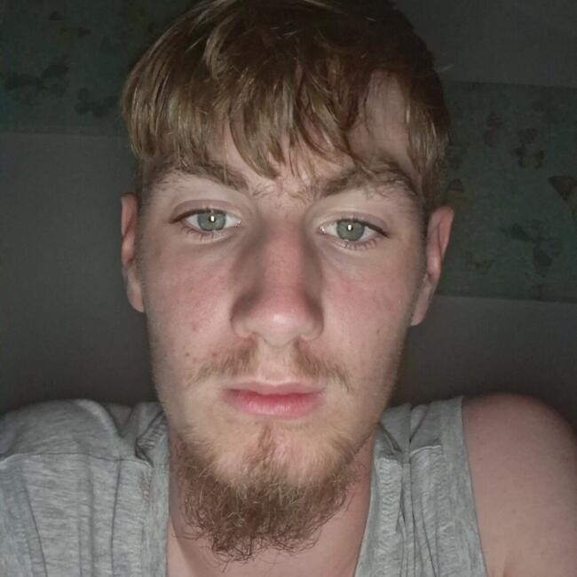 Babysitting job in Dudley: Samuel