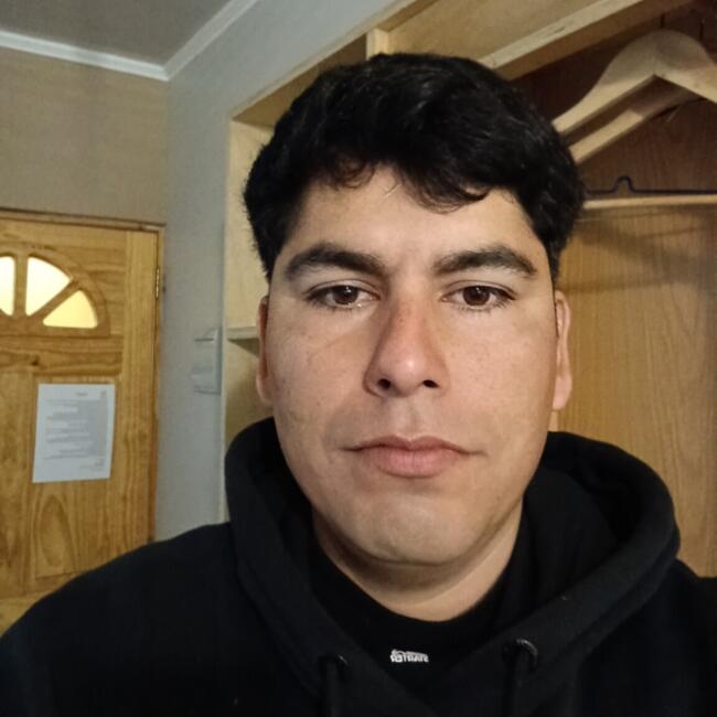 Babysitting job in Iquique: Javier