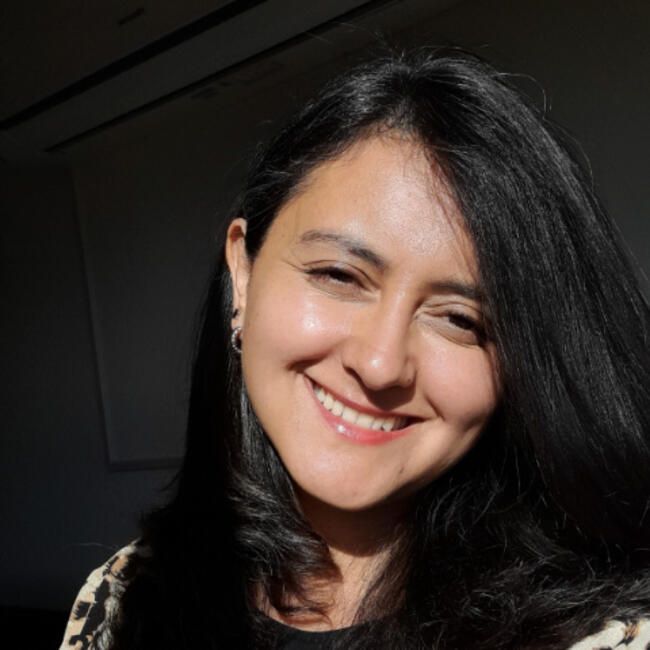 Niñera en Viña del Mar: Mariela Contreras 