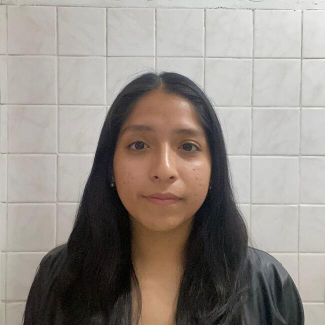 Babysitter in El Agustino: Maria