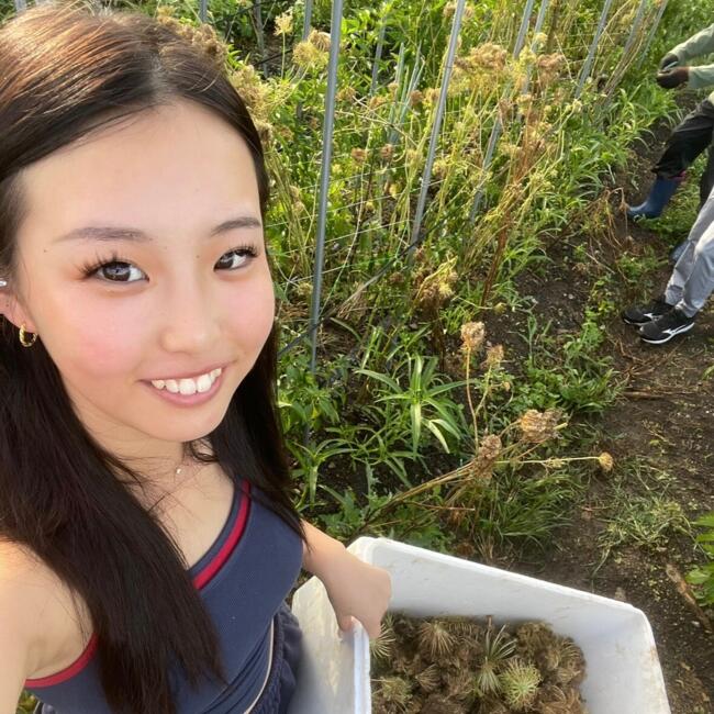 Babysitter in Auckland: Non