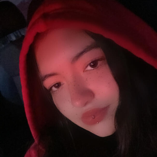 Babysitter in Quilicura: Nayeli