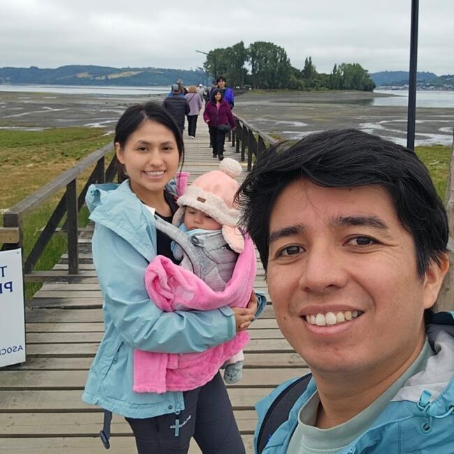 Babysitting job in Arauco: Pablo