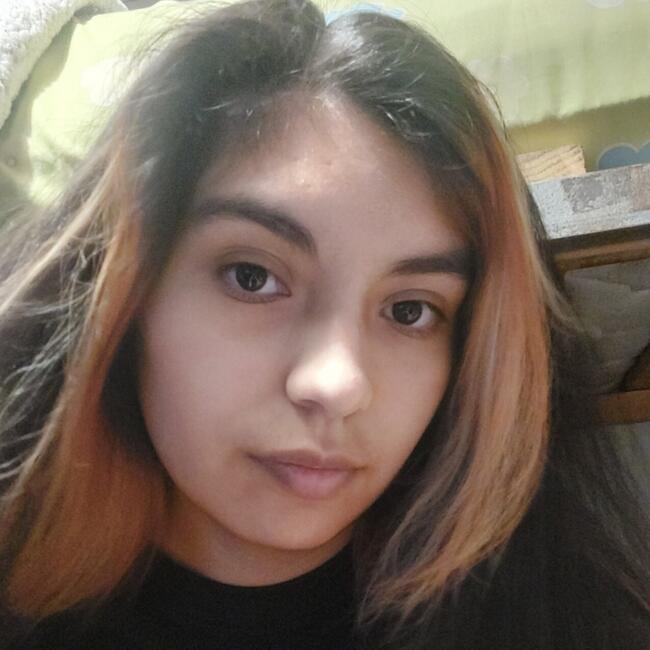 Babysitter in Santiago: Yvanelle