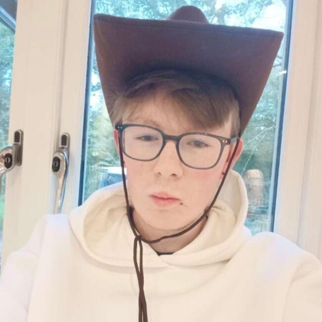 Babysitter in Dublin: Will