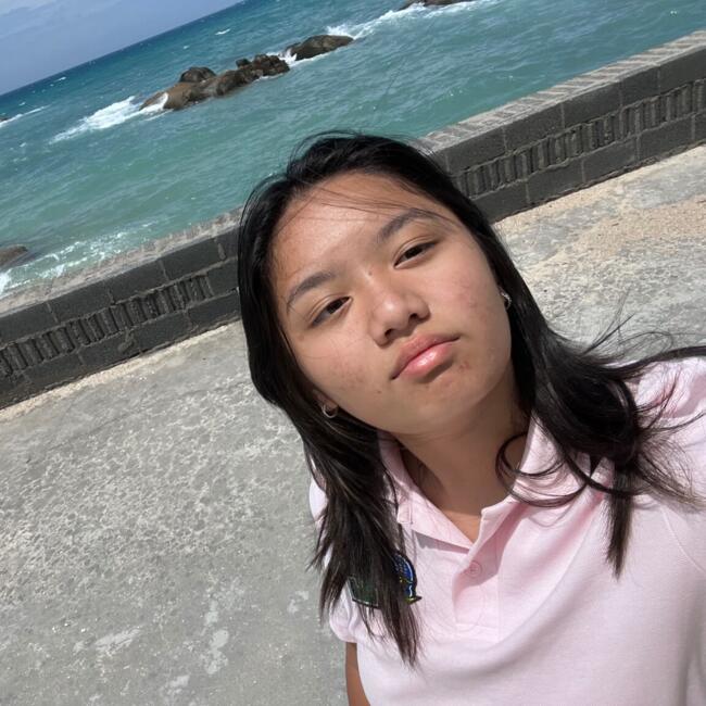 Babysitter in Torcy: Ngoc anh