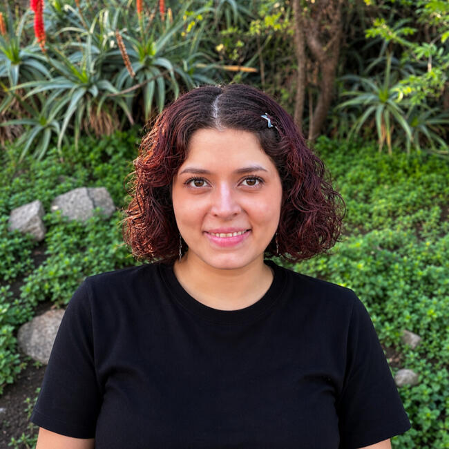 Babysitter in Santiago: Vanessa