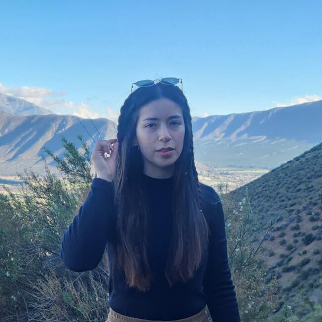 Niñera en Llaillay: Valeska