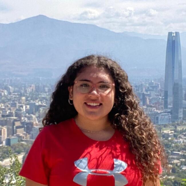 Niñera en Santiago de Chile: Fernanda