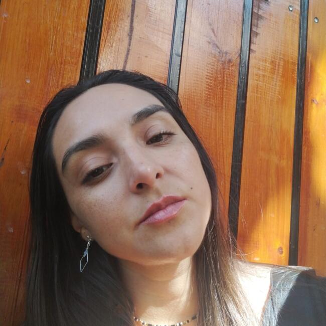 Babysitting job in Providencia: Vallorie