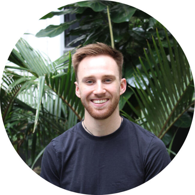 Babysitter in Auckland: James