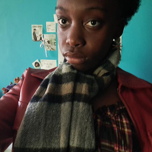 Babysitter in Oliveira do Bairro: Iara