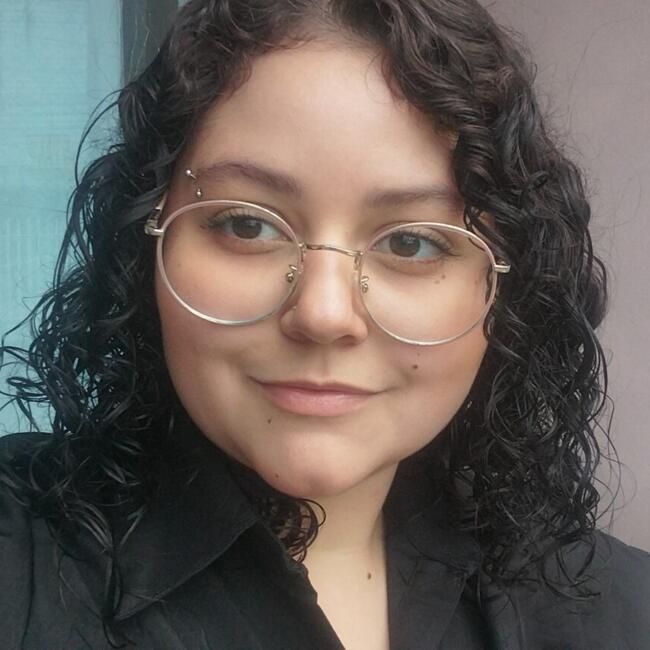 Babysitter in São José (São José): Ana Clara