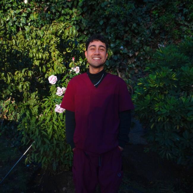 Babysitter in Santiago: Diego Lira Garrido