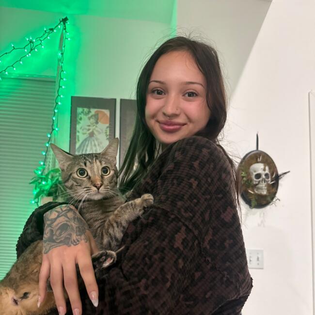 Babysitter in Murrieta: Alexis