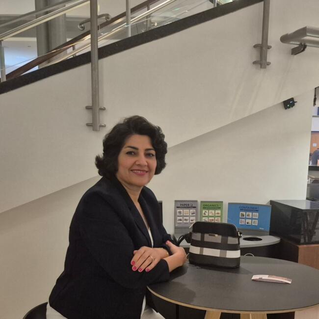Baby-sitter in Toronto: Mahshid