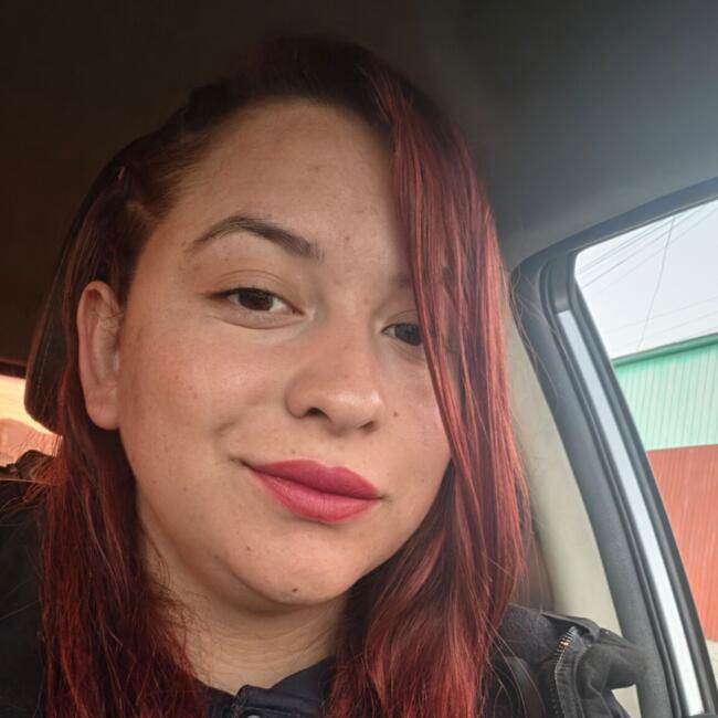 Babysitting job in Calama: Diana
