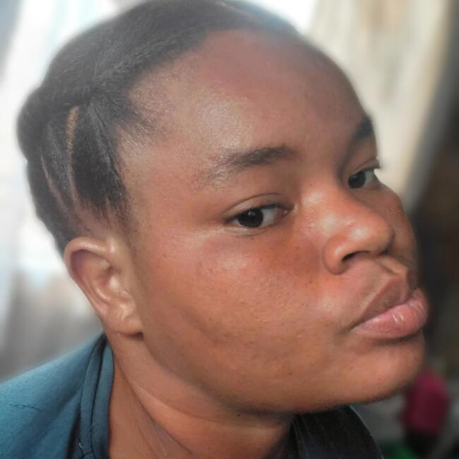 Babysitter in Kempton Park: Eredies