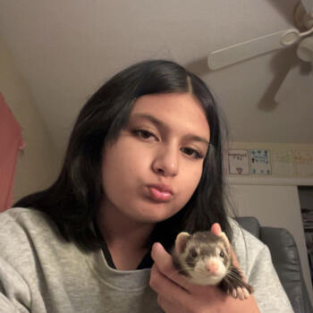 Babysitter in Largo (Florida): Lois