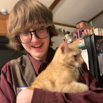 Babysitter in Roscoe (Illinois): Ollie