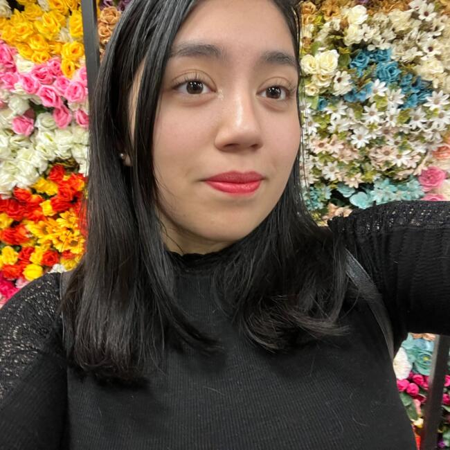 Niñera en Santiago de Chile: Iveth