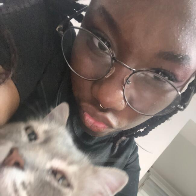 Babysitter in Rancagua: Nico