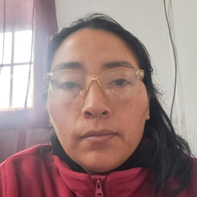 Babysitting job in San Bernardo: Janeth