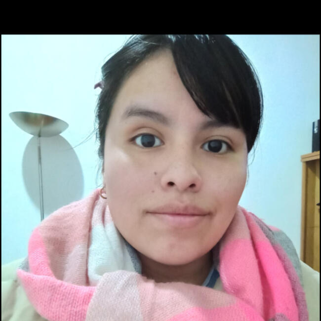 Babysitter in San Fernando: Juana pinto