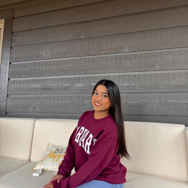 Babysitter in Indianapolis: Van