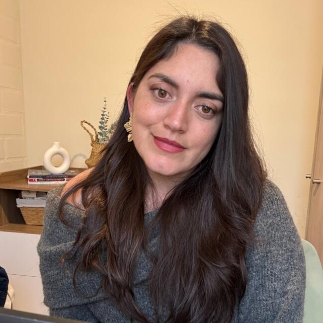 Babysitting job in Rancagua: Damary Figueroa