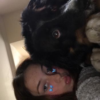 Babysitter in Castlebar: Niamh