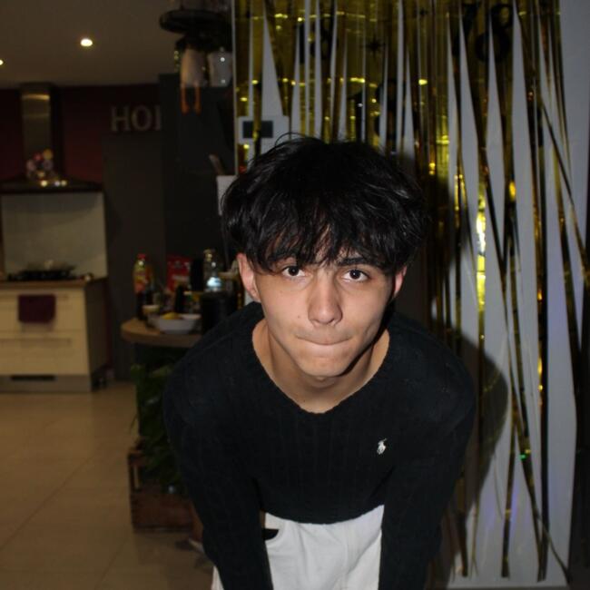 Babysitter in Bricquebosq: Raphael