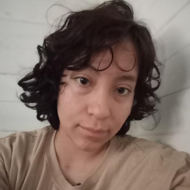 Babysitter in Santiago: Alexandra