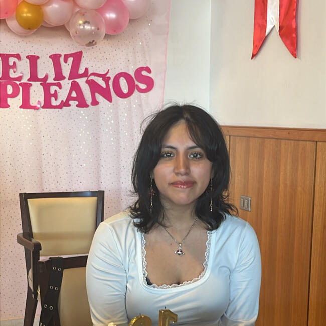 Babysitter in Calama: Gema