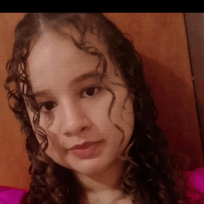 Babysitter in Bela Vista de Goiás: Ana Flávia