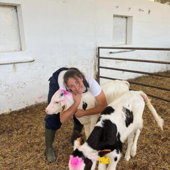 Babysitter in Aveiras de Cima: Maria Carolina
