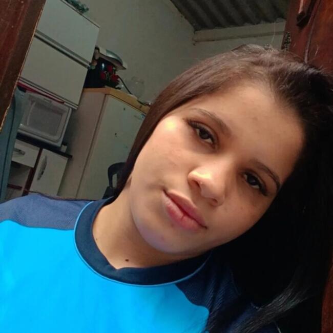 Babysitting job in Santo André: Raquel