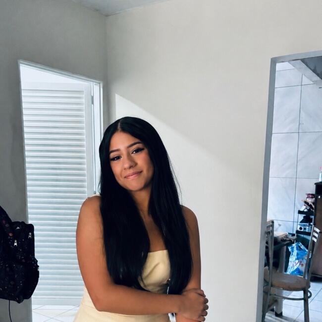 Babysitter in Presidente Prudente: Lara Sofia