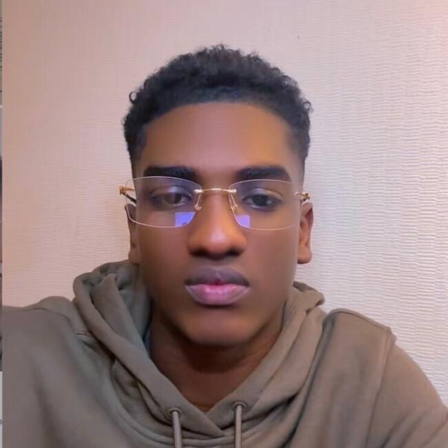 Babysitting job in Birmingham: Lioneljr