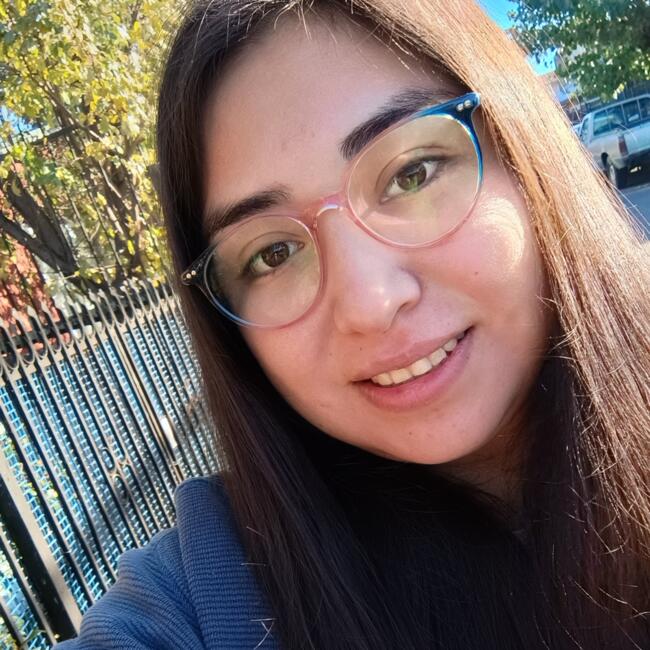 Babysitter in Temuco: Carolina