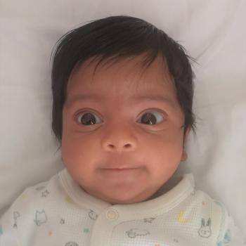 Nanny job in Dunedin: babysitting job Raibn